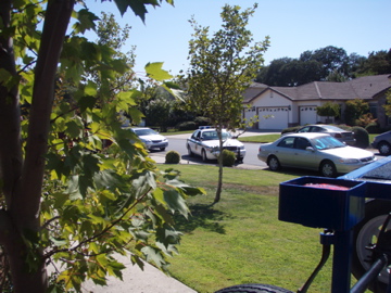 The Po-po rollin' up on the party