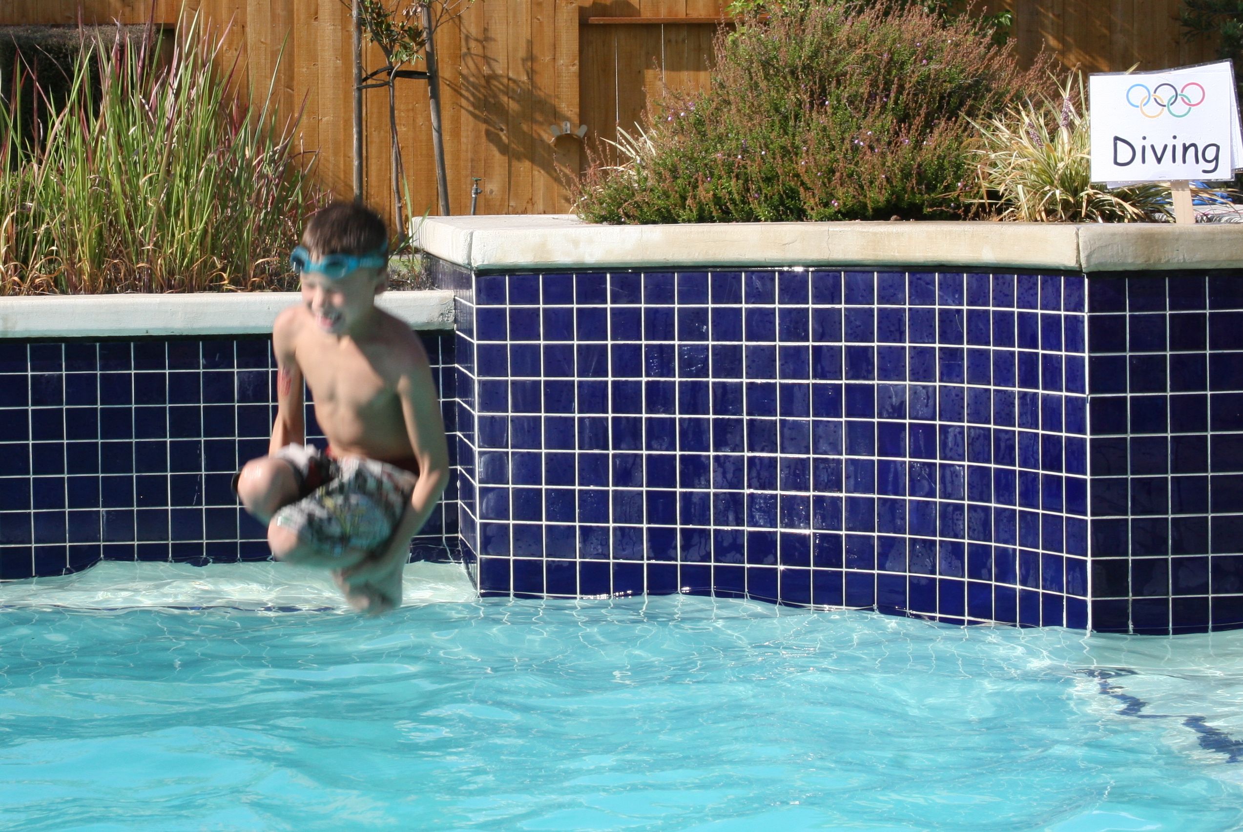 08.diving.2.jpg (730645 bytes)